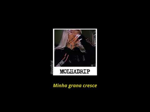 França OG FT. BIN - MOLHADRIP (Letra/legendado)