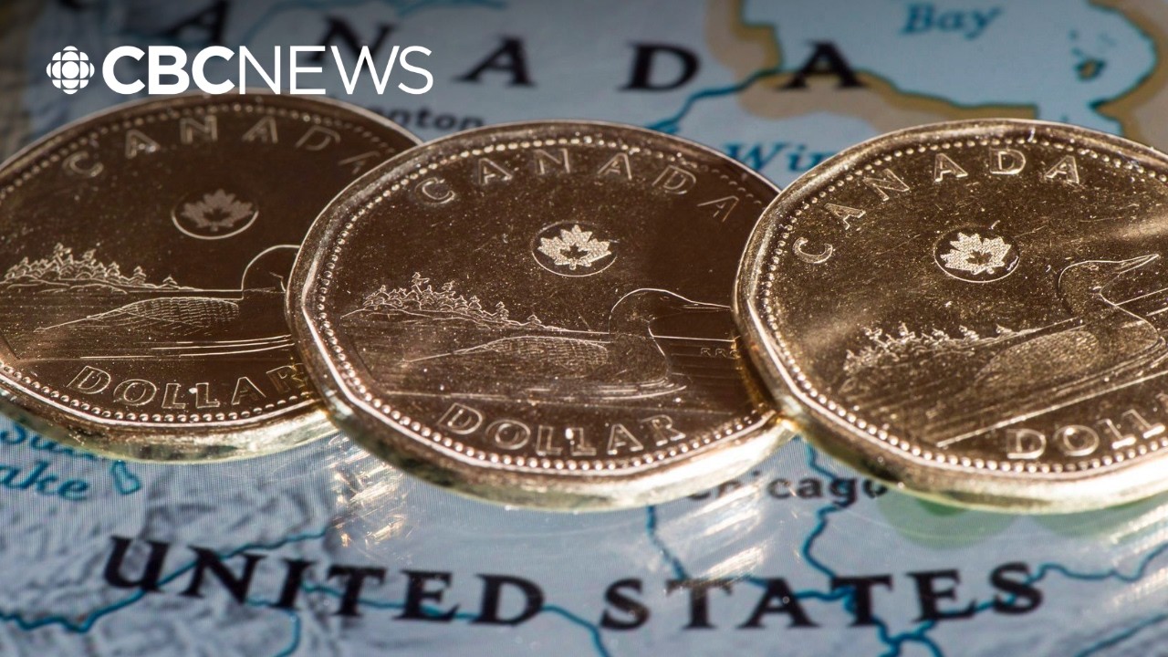 Video: CBC maps potential 50% US tariff hits on Canadian exports by sector and province