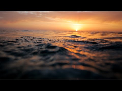 Bilateral Music Therapy Session | For Stress, Anxiety, PTSD, Nerves | Deep Sleep | EMDR, Meditation