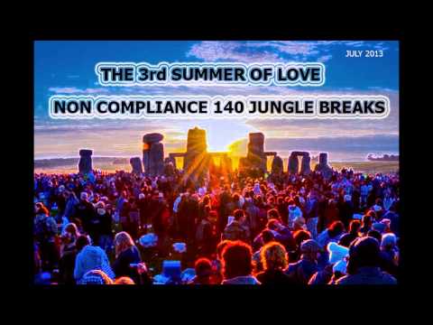 Non Compliance  3rd Summer Of Love Mix 2013