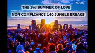 Non Compliance  3rd Summer Of Love Mix 2013