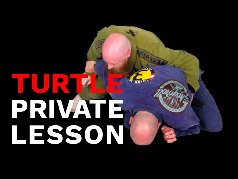 Private Lesson: Turtle Position