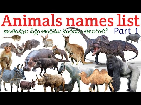 Names of animals in english and telugu