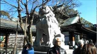 preview picture of video 'Samukawa Shrine on January 4th (寒川神社 初詣)'