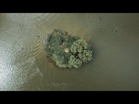 Rytmig: Už letí, podívej