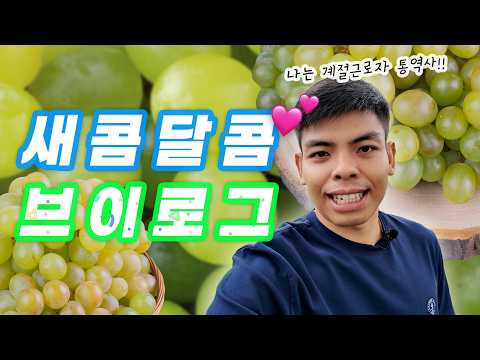 라오스 청년 싹의 김천시 브이로그