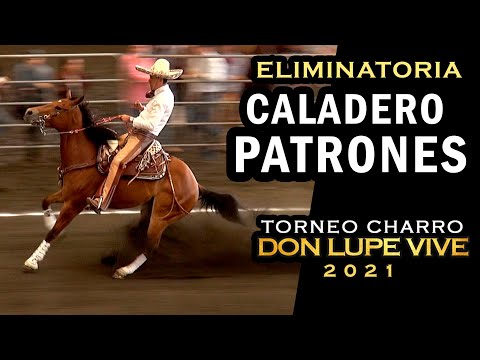 Skippers' Fishing Ground - (eliminatory) - Don Lupe Vive Tournament 2021