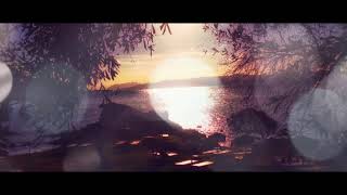 Shape Of You-Ed Sheeran by Ndlovu Youth Choir and Wouter Kellerman (flute)