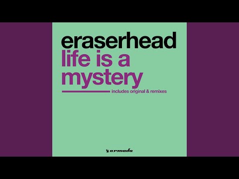 Life Is A Mystery (Forze DJ Team Remix)