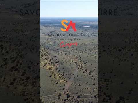 🐄 VENDE | Campo ganadero – 1.650 ha📍 Carro Quemado, La Pampa
