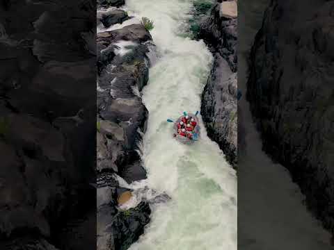 #RAFTING CARNAGE | Middle Fork American #River