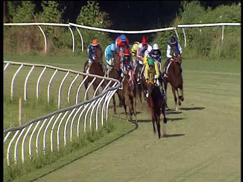 Galoppo 29/06/2018 - 2ª corsa