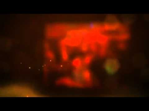 Nubreed DJs and Entertainment