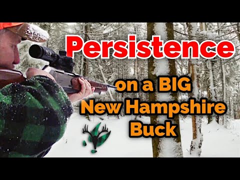 Four Days Tracking a BIG New Hampshire Buck with Mark Scheeren