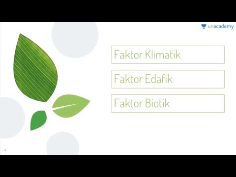 Harga patogen perempuan di apotek di Permian Tetes ginseng impotensi