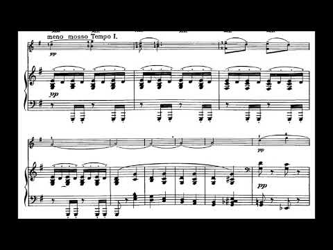 Antonin Dvořák - Sonatina for Flute and Piano, Op. 100 (1893) [Score-Video]