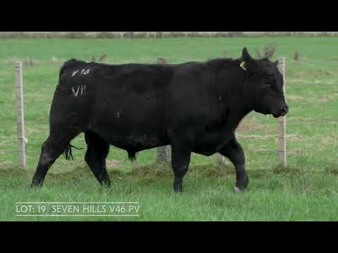 Lot 19  SEVEN HILLS V16 PV