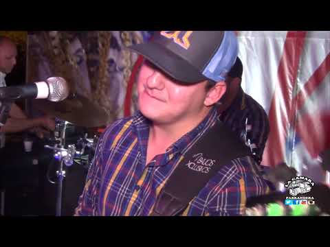 DAME TU CARIÑO PLUMAS NEGRAS EN VIVO