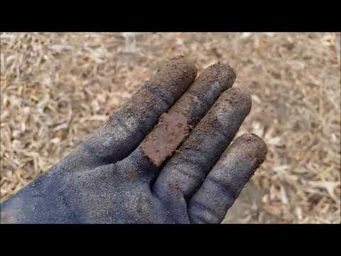 Der Bayern Sondler Teil 9 - Sondeln brachte super schöne Schnallen, Münzen und Anderes