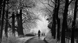 Tiny Ruins - Me at the Museum, You in the Winter Gardens