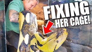 FIXING MY HUGE SNAKE (LUCY's) CAGE AT MY REPTILE ZOO!! | BRIAN BARCZYK by Brian Barczyk