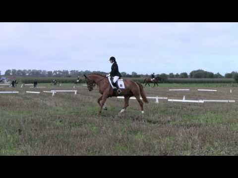 Dina Van Ter Styllen - M1