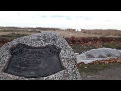 Финский залив