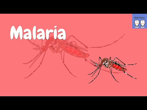 Pathophysiology of Malaria [Life cycle of the plasmodium parasite, Common symptoms]