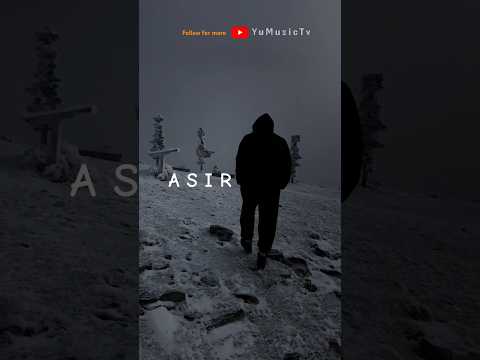 Hamidreza Babaei - Asir #yumusictv #music #asir