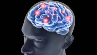 ¿Sabías qué el azúcar daña tu cerebro?