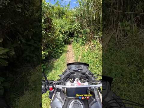 Finalizando Trocha | ANGELOPOLIS - AMAGA 🛵🔥🍃