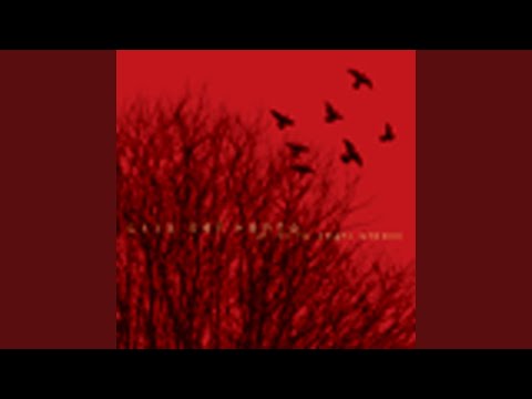 Al Di Là Degli Alberi - Casa Del Vento