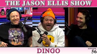 Dingo Returns!