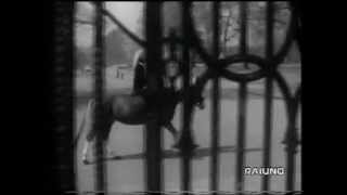 Patty Pravo - La valigia blu - Adesso musica 1974