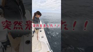 【初大島】ジグ初心者、青物狙い→まさかの良型メダイ　Beginner Jigger's Fist Oshima Trip - Unexpected Trophy Fish!