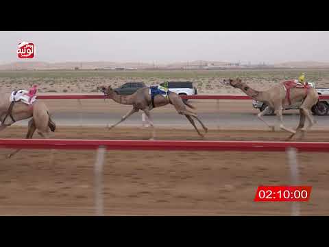  ش 4 (مصدع) لـ علي ناصر بن سعيد العويسي 6:12 ، مهرجان العين 2026/07/10 إيذاع سويحان