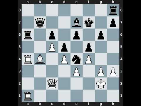 Bartosz Socko(2583) vs Igor Stohl(2550) | Event: Extraliga CZE | 2005.04.17