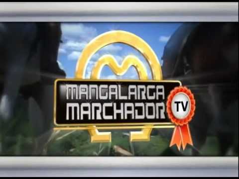 VEJA NO MANGALARGA MARCHADOR TV DESSA SEMANA - 08/01/2012