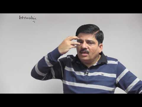 #11   Adrenal Medulla   Chemical Coordination & Integration   Dr  NK Sharma NEET AIIMS NEET AIIMS