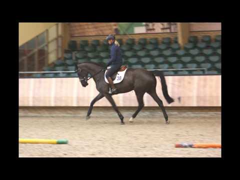 Jazzy (All At Once x Jazz) - EPTM test