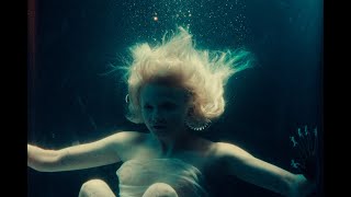 Cover art for oyster