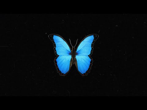 Pavelito - Borboleta (Oficial Lyrics Video)