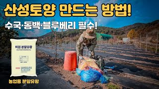 블루베리 수국 동백 꽃! 유황으로 산성토양 만드는 완벽 가이드 (pH 조절 핵심) ????
