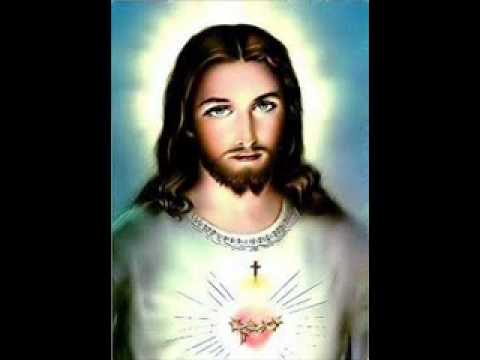 Como são belos video