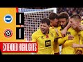 Brighton & Hove Albion 1-1 Sheffield United | Extended Premier League highlgihts