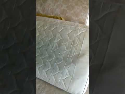 Vandam de la recea cristur