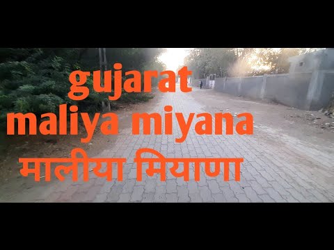 my village maliya miyana avesh indian