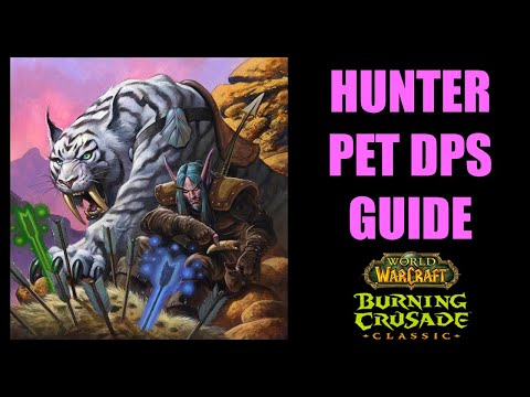 WOW TBC Classic Hunter PET DPS GUIDE: Pet Talents, Abilities, Buffs and LOTS MORE!!!