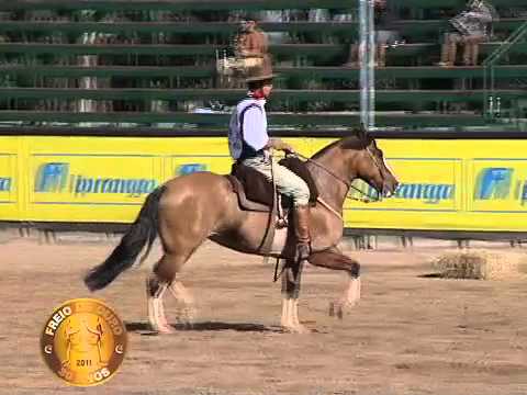 30 anos do Freio de Ouro