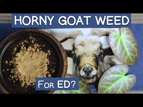 Benefits of Horny Goat Weed - Does It Help ED?